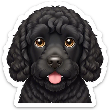 Black Portuguese water dog, loose curls, mischievous looking  sticker