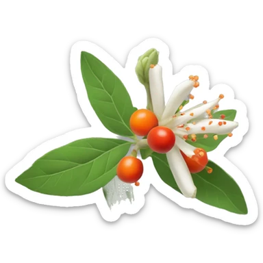 ashwagandha flowers with orange-red berries sticker