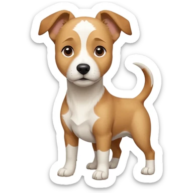 a full body facing front on of a buff white beagle cross jack russell terrier looking dog the size of a kelpie with light brown long ears resting on its face and a light brown patch above one eye and a large snout. the rest of the dog is completely white.  sticker