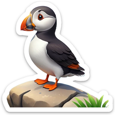 A 3D cartoon puffin bird standing on a rock near the sea, soft daylight, bright colors, realistic Memoji-style. sticker