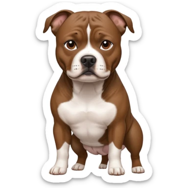 brindle staffordshire bull terrier sticker