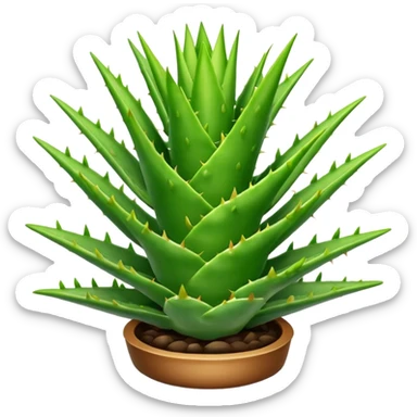aloe vera sticker