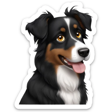 Black Australian shepherd with hazelnut eye color  sticker