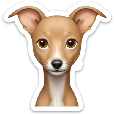 Italian greyhound  sticker