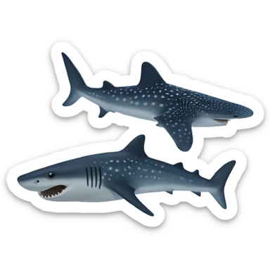 Whale shark no teeth sticker