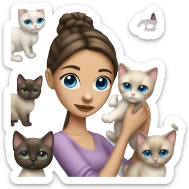 brunette girl blue eyes holding siamese cat sticker