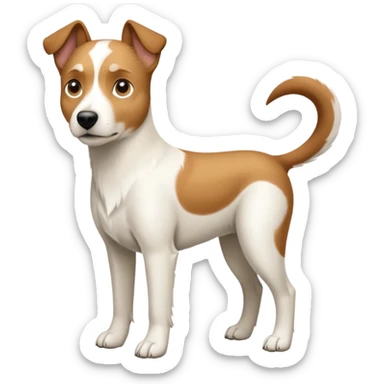 a full body large white parson russell looking dog the size of a kelpie with light brown flapped down ears and a light brown patch on one eye and a large snout sticker