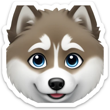Pomsky with black & white fur. It also has two different color eyes, one blue and the other brown sticker