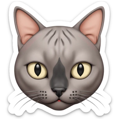 gray hairless cat with black nose looking with disgust sticker