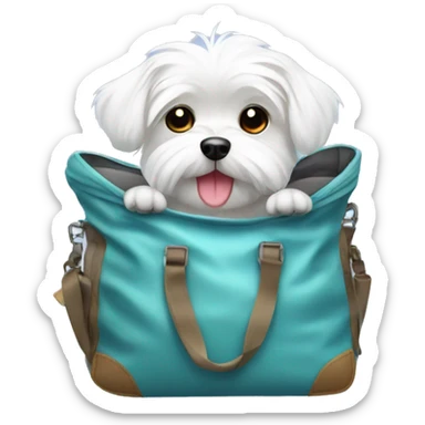 Cute Maltese dog in a airplane bag  sticker