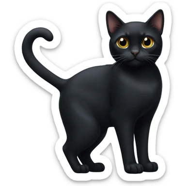 Bombay black cat with a small white spot on his chest sticker