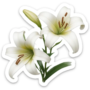 White lilies withered sticker