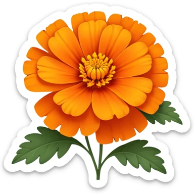 cempasúchil flower, Mexican marigold, bright orange with layered petals sticker