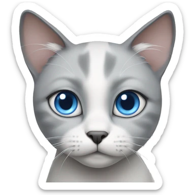 gray white cat with blue eyes asks for food with plaintive eyes sticker
