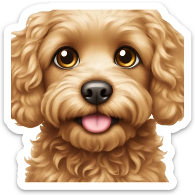 Cavapoo looking up with big, heart-melting eyes. Maybe add sparkles or tiny hearts around the eyes to show how cute they are. sticker