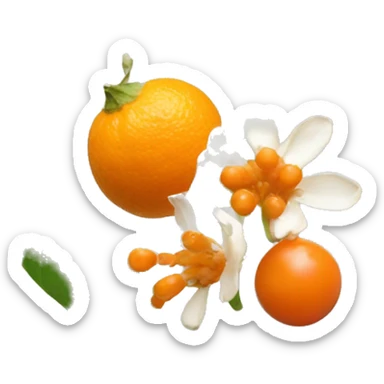 ashwagandha flower and orange berrie sticker