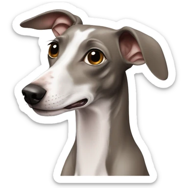 Italian greyhound sticker