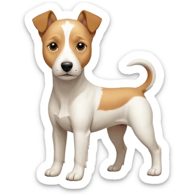 a full body facing front on of a buff white parson russell terrier looking dog the size of a kelpie with light brown long ears resting on its face and a light brown patch above one eye and a large snout. the rest of the dog is completely white.  sticker