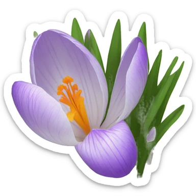 crocus sticker