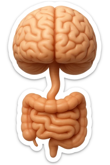 emoji stile iphone in 3d di cervello e intestino collegati verticalmente, iperrealistico 4k sticker