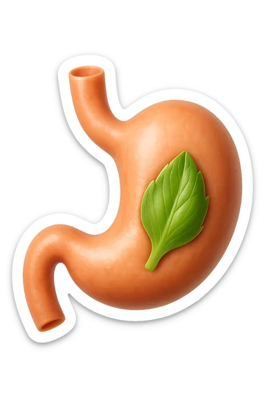 emoji stile iphone 3d di uno stomaco umano con una foglia di carciofo dentro, iperrealistico 4k sticker