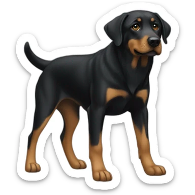 labrador crossed with beauceron sticker