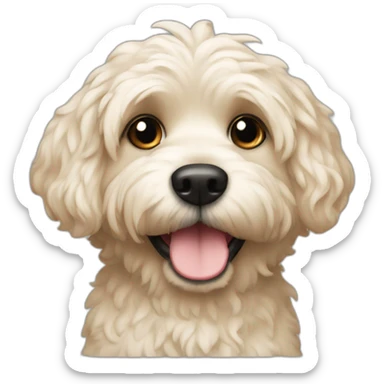 havapoo color cream dog sticker