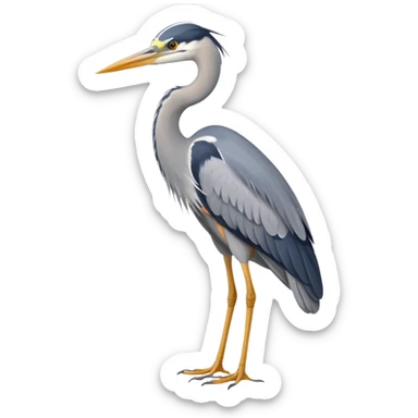 Grey Heron sticker
