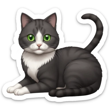 beautiful female solid dark grey cat with green eyes, white toes/paws and white patch on her chest rolling over sticker