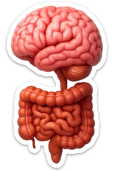 emoji stile iphone in 3d di cervello e intestino collegati verticalmente, iperrealistico 4k sticker