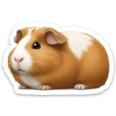 Guineapig laying down  sticker