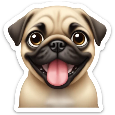 baby pug looking straight with his tongue slightly out  sticker