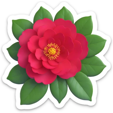 Detailed camellia bloom with formal double form, perfect spiral arrangement of overlapping deep red petals and characteristic glossy oval leaves with fine serrated edges sticker