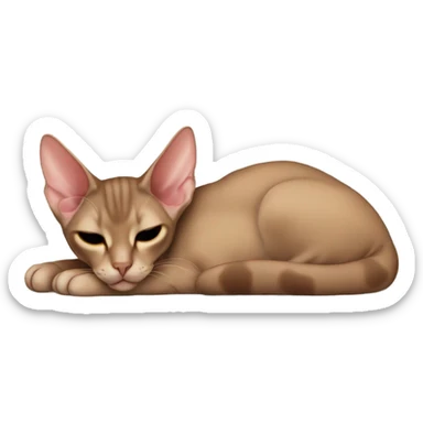 Brown oriental shorthair cat sleeping sticker