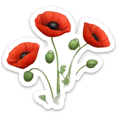 three red poppies with stems sticker