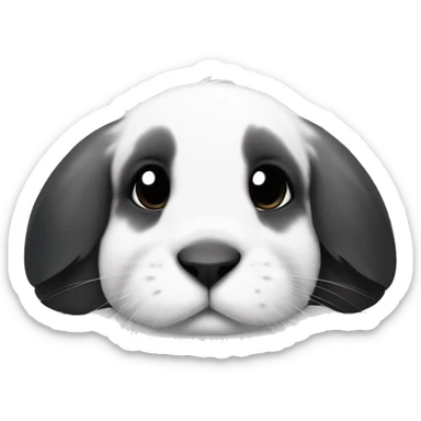 White with black splotches on the face and black ears holland lop rabbit with a white nose laying down  sticker