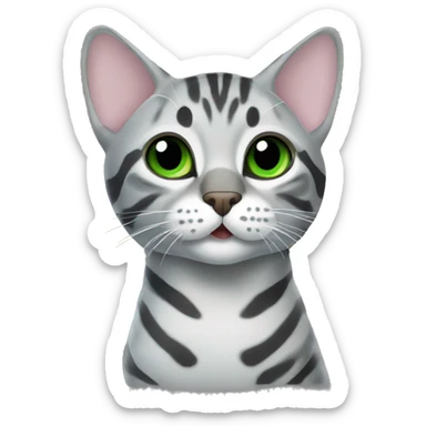 Grey bengal cat with green eyes in an ultrasound scan sticker