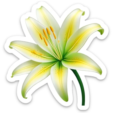 Cinematic Realistic Lily Emoji, Elegant and fragrant, with soft, white petals curling delicately around a golden-yellow stamen at its center. The long, slender green stem stands tall, supporting the vibrant bloom with its slightly curled tips. Soft glowing outline, capturing the essence of purity, elegance, and grace in a striking lily. sticker