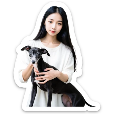 Slim Chinese girl with long black hair petting completely dark grey Italian greyhound with absolutely no white markings anywhere sticker