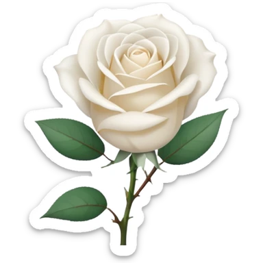 white rose, without green leaves, just flower sticker