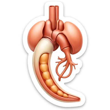 A symbolic male reproductive system, abstract medical illustration sticker