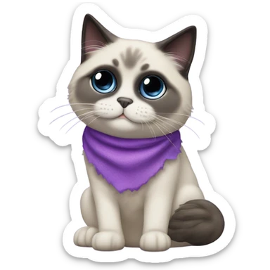 Seal point Ragdoll cat with dark face and nose. The cat is sitting on top of a purple unicorn. sticker