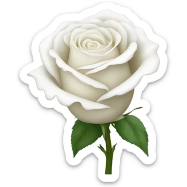white rose sticker