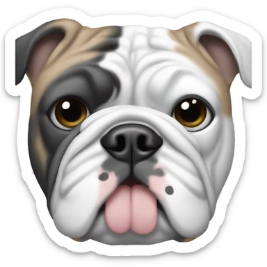 English bulldog in black gray and white with blue eyes sticker