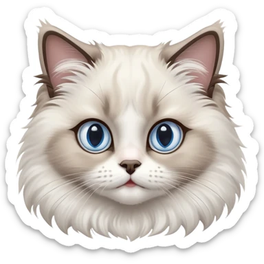 cinematic-adorable-big-eyed-fluffy-ragdoll-cat-portrait-emoji,-head-tilted-playfully-with-a-sweet-expression,-fluffy-white and grey-fur,-simplified-yet-irresistibly-cute-features-with-large,-expression, blue eyed ragdoll cat sticker