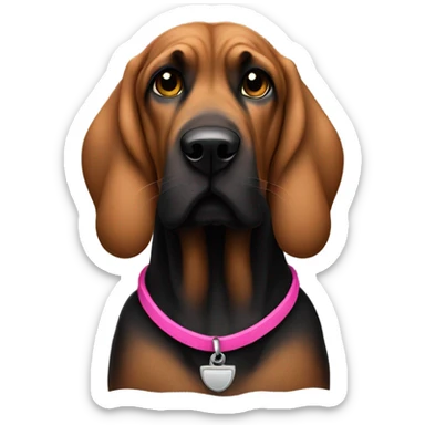 Black  bloodhound with pink collar sticker