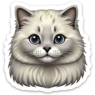 Cinematic Adorable Fluffy Grey Seal Ragdoll Cat Portrait Emoji, Head tilted cutely with big, sparkling eyes, soft grey fur with darker seal points on the ears, face, and paws, Simplified yet irresistibly adorable features, highly detailed, glowing with a soft, warm glow, high shine, affectionate and playful, stylized with a touch of whimsy, bright and endearing, soft glowing outline, capturing the essence of a curious and loving kitten, so cute it feels like it could leap out of the screen and snuggle up for a cuddle! sticker
