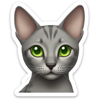 Gray oriental cat with green eyes sticker