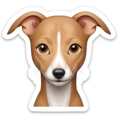 Italian greyhound  sticker