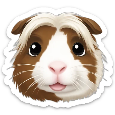 White long hair Guinea pig with large black and brown spots sticker